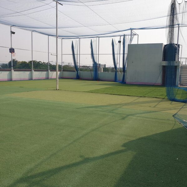 Outdoor Turf